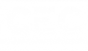 cec logo bianco cida