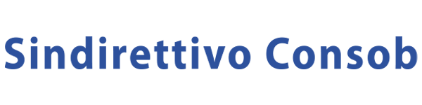 logo sindirettivo consob cida